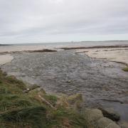 Petit ruisseau après la tempête