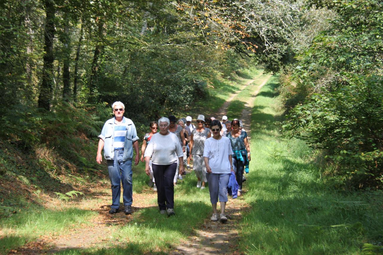 Les marcheurs dans le bois du Névet