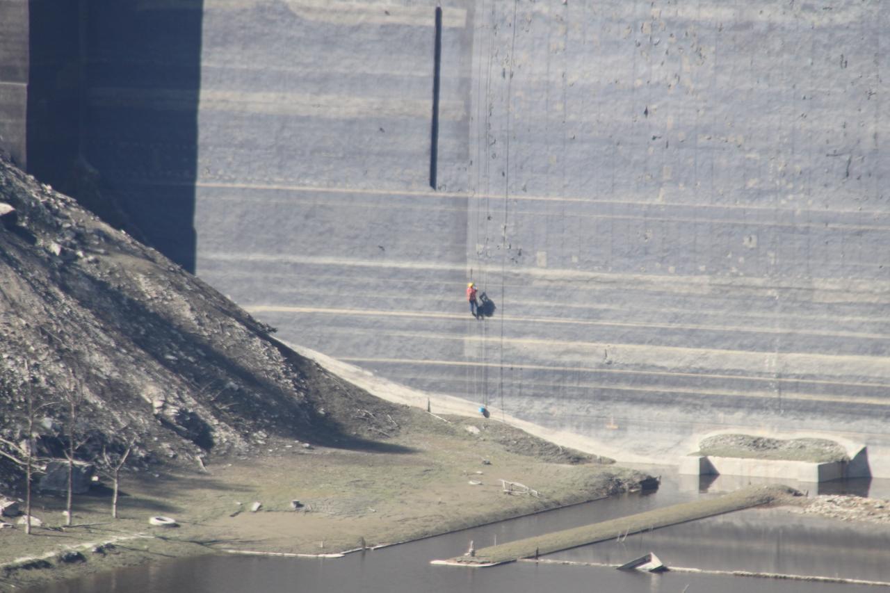 Araignée rouge sur son fil