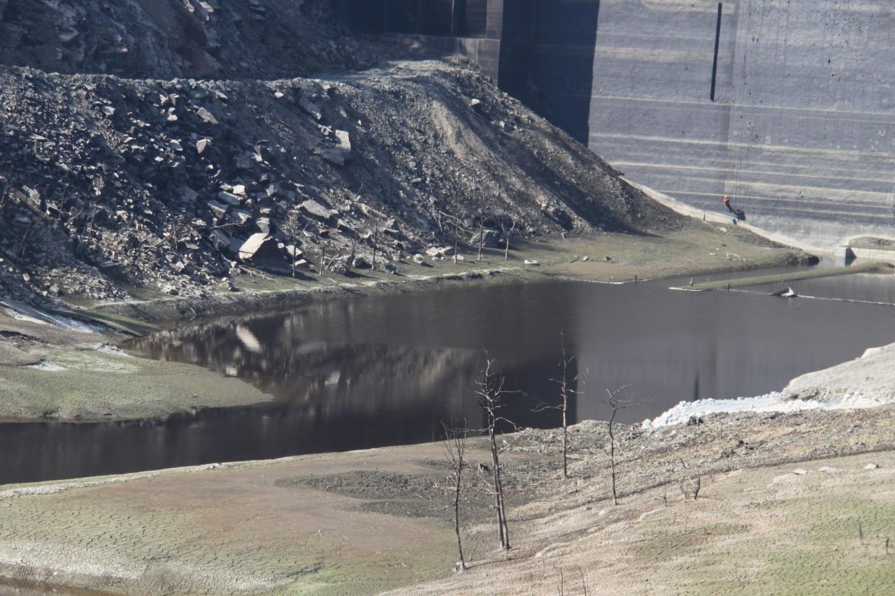 Arbres aux abords du barrage