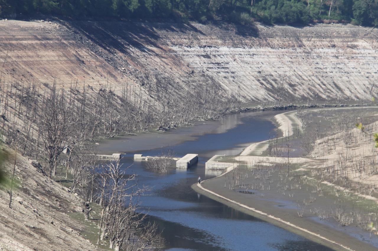 L'écluse et les arbres morts