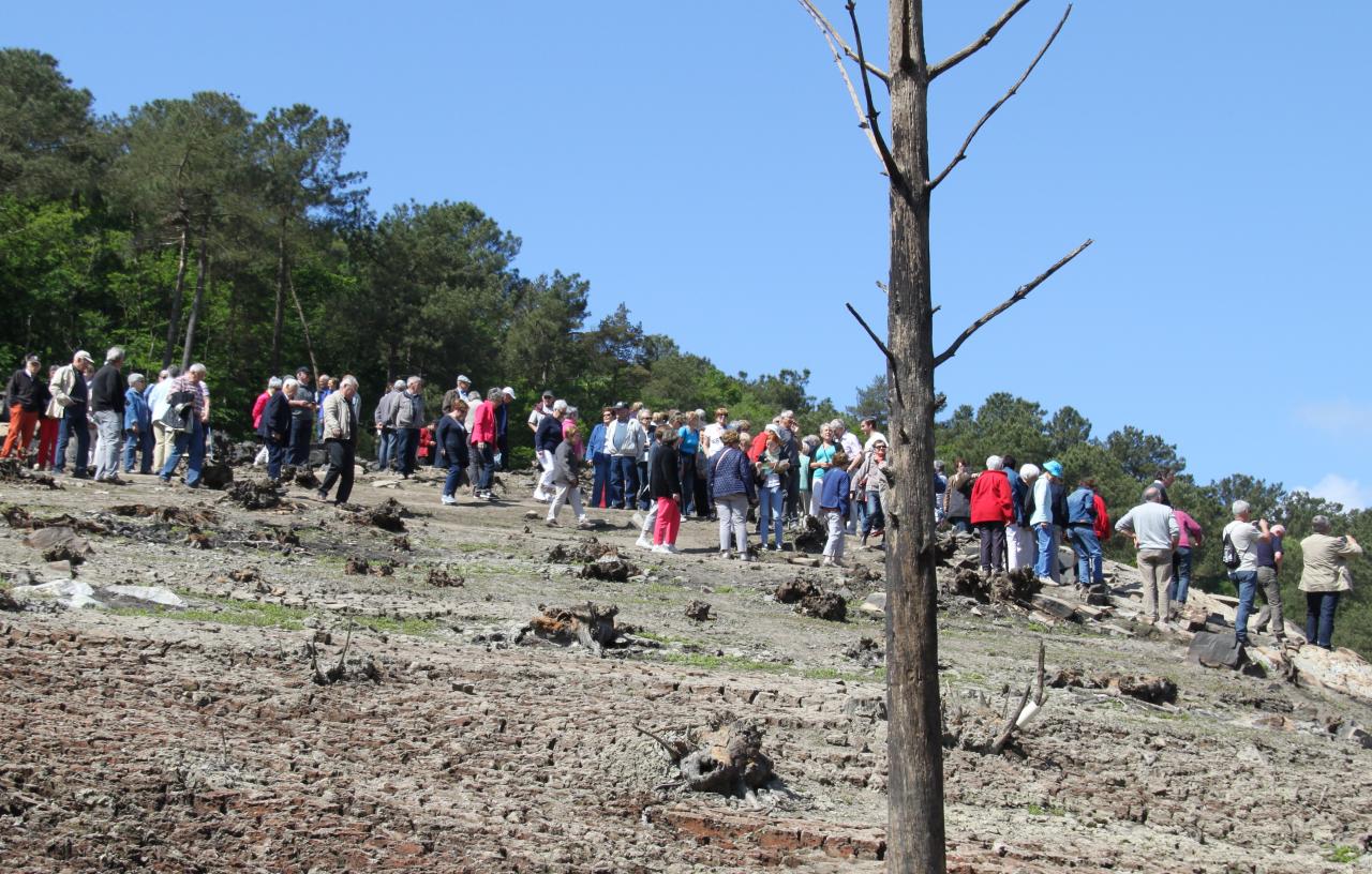 Marcheurs au bord de la grève