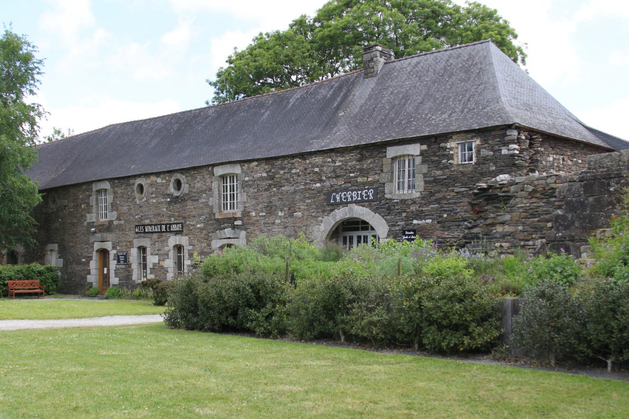 Les minéraux de l'abbaye et l'herbier