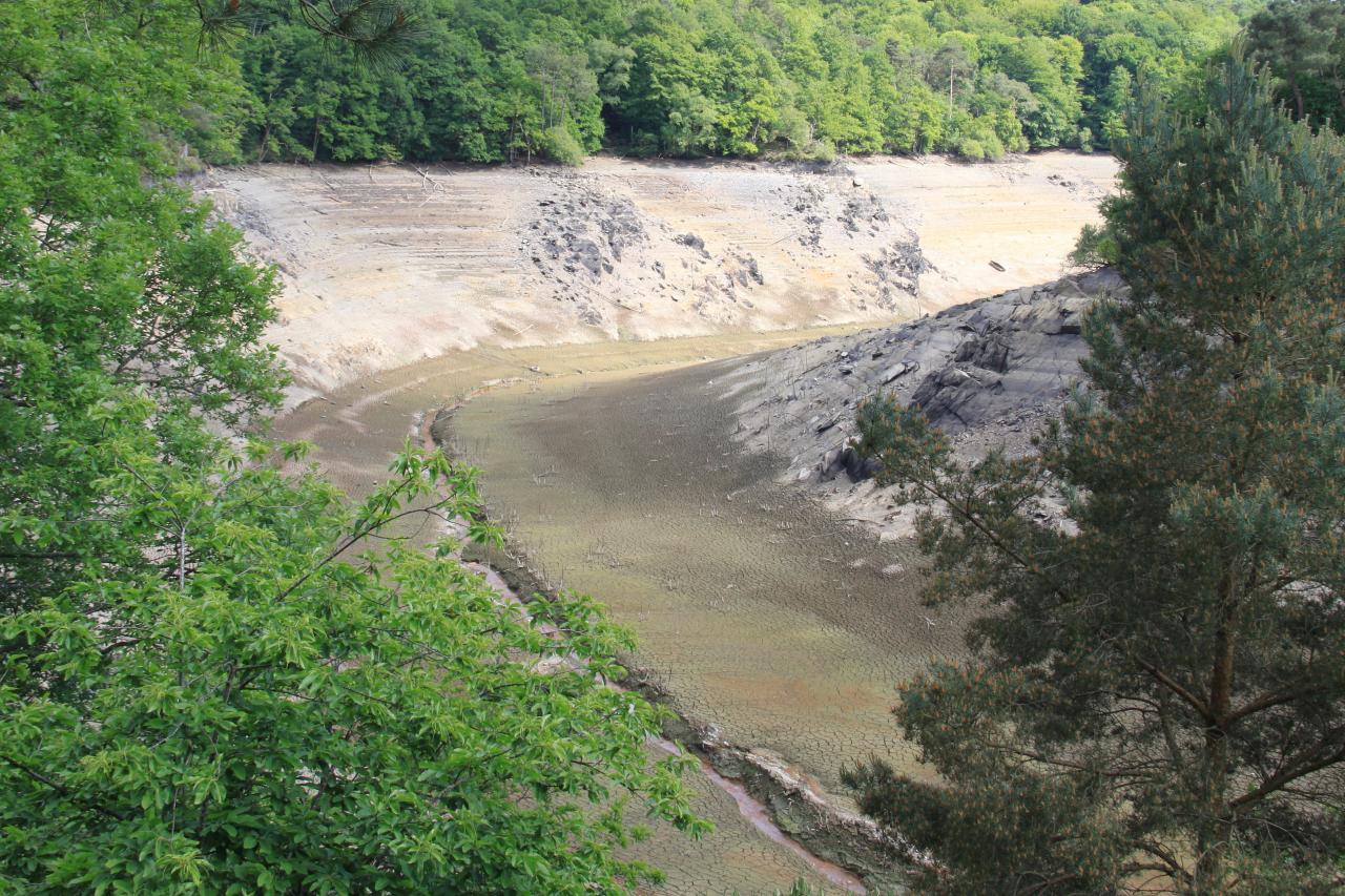 Un petit filet d'eau