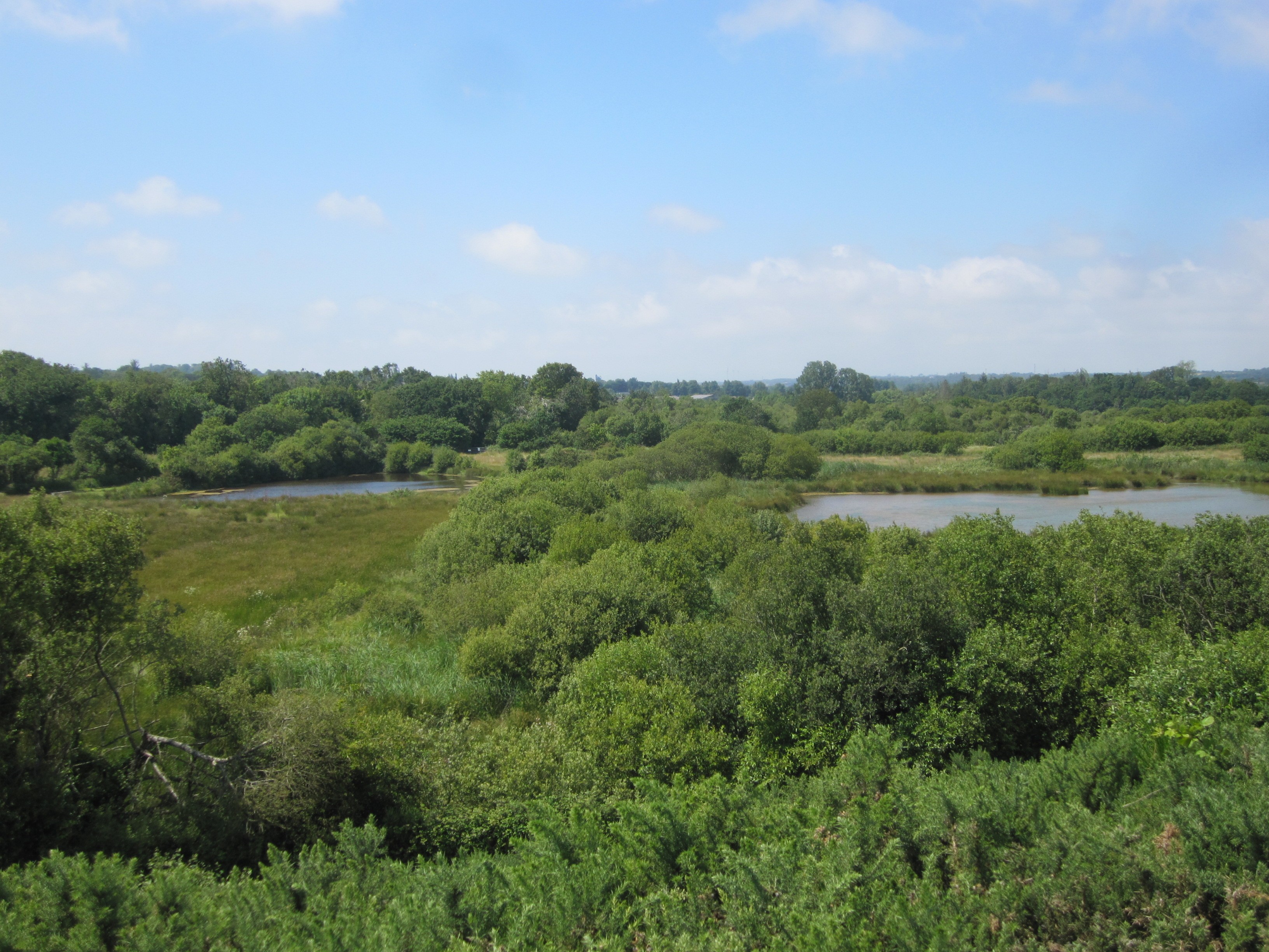 La campagne