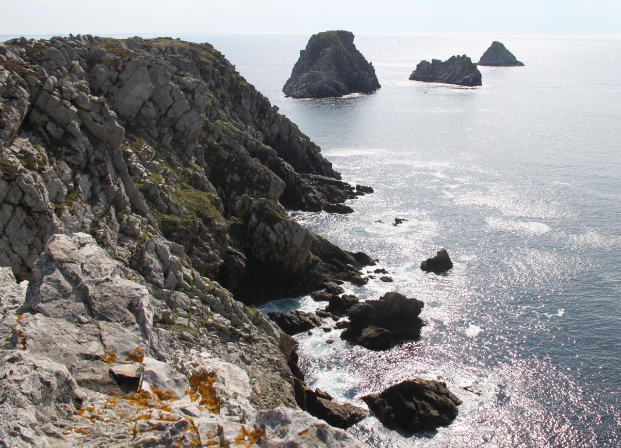 La falaise et le tas de pois