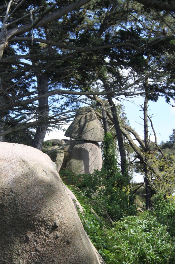 Champignon indigeste