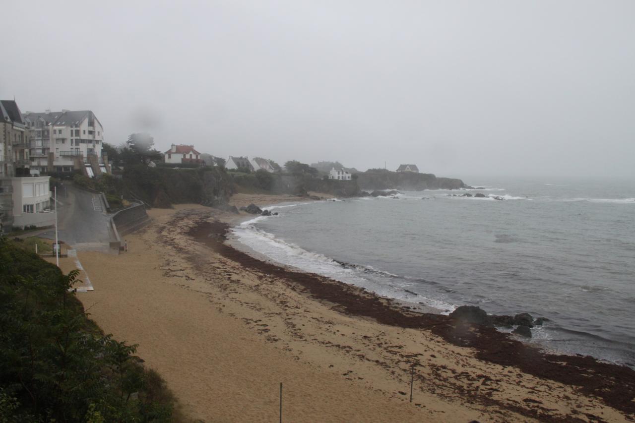 Le bord de mer avec son goémon