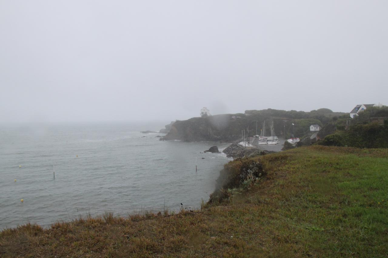 La pointe sous la pluie